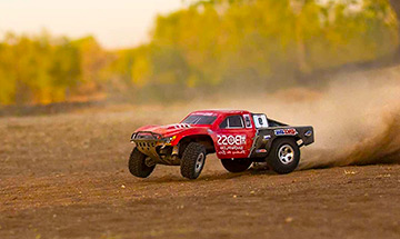 best rc buggy
