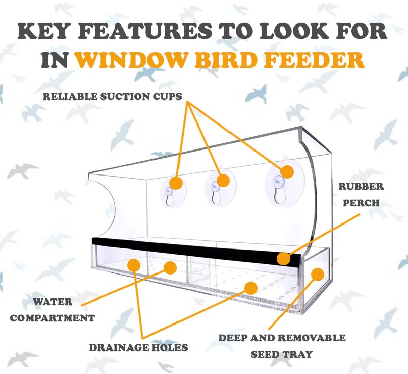 what is window bird feeder